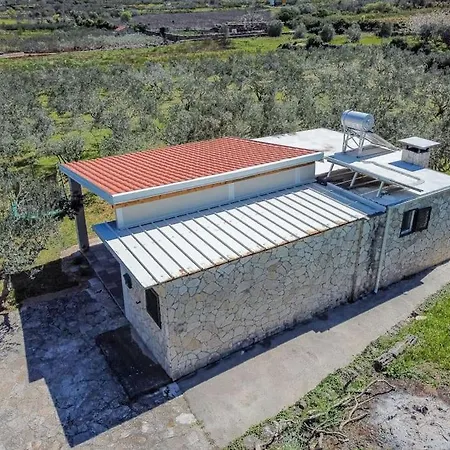 Grandpa's Olives Tiny House סטארי גראד