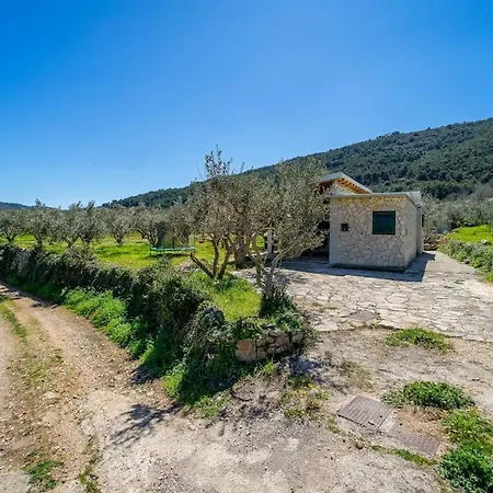 Grandpa's Olives Tiny House * סטארי גראד