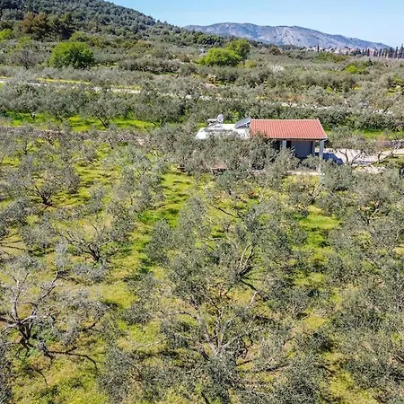 Grandpa's Olives Tiny House דירה *