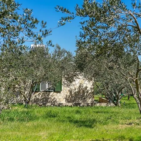 Grandpa's Olives Tiny House סטארי גראד