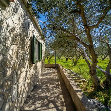Grandpa's Olives Tiny House דירה