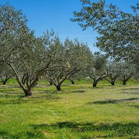 Grandpa's Olives Tiny House Apartment Stari Grad (Hvar)