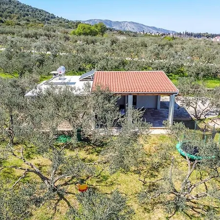 Grandpa's Olives Tiny House דירה *