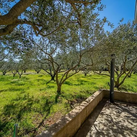 Grandpa's Olives Tiny House